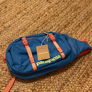 Patagonia Men's Blue and Orange Belt Bag